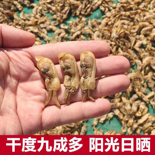 探味岛福建东山岛蛏子干蛏子海蛏子竹节蛏海鲜水产干货野生
