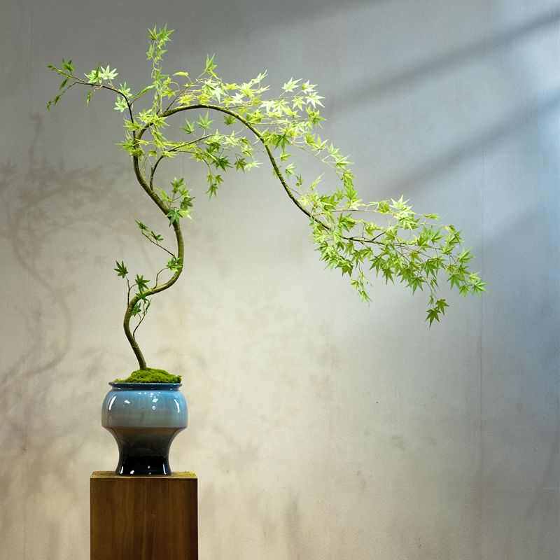 流泉枫绿植假花古风新中式茶室装饰禅意玄关摆件小型盆景仿真园艺