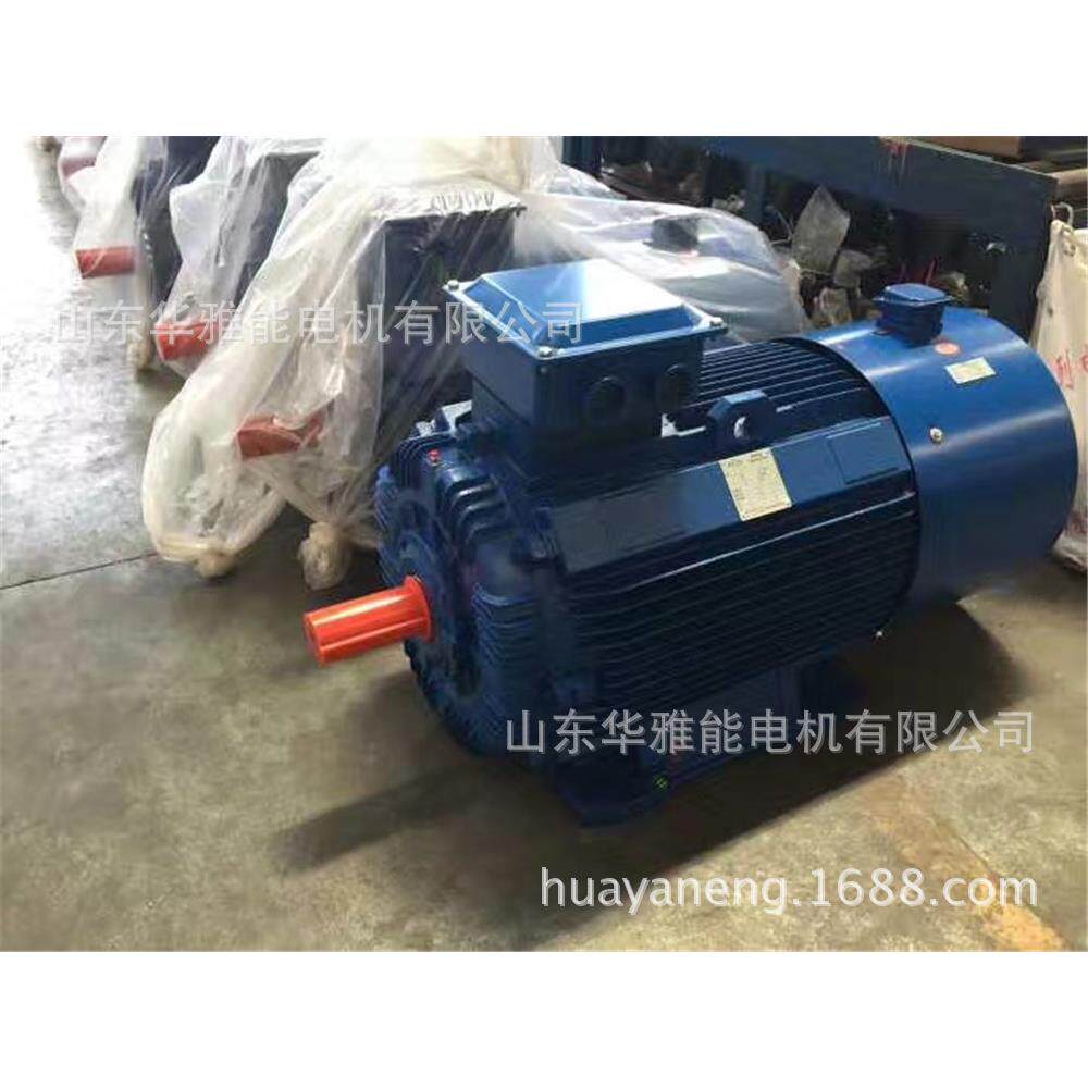 船用Y-H-225M-8-22电机BT4防爆等级清洗轴承润滑脂充满轴承室