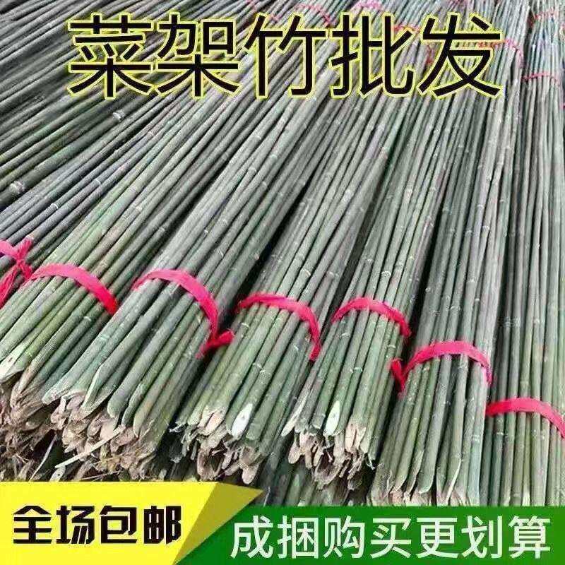 竹竿小竹杆菜园搭架子篱笆栅栏菜旗杆阳台植物豆角黄瓜爬藤花架