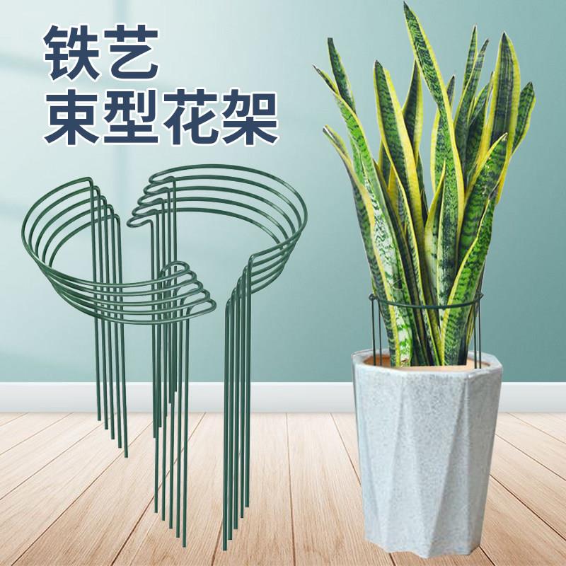 花架支伸缩杆金钱树支撑架植物护花架固定园艺盆花虎皮兰支架龟背