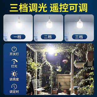 太阳能户外庭院电灯家用充电室内照明一拖二分体式 2024新款 挂灯泡