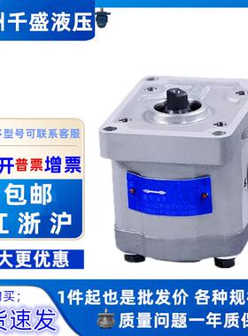 长源款齿轮油泵CBW-F304/F306/F308/F310/F314/F316/F320-AFB/CLB