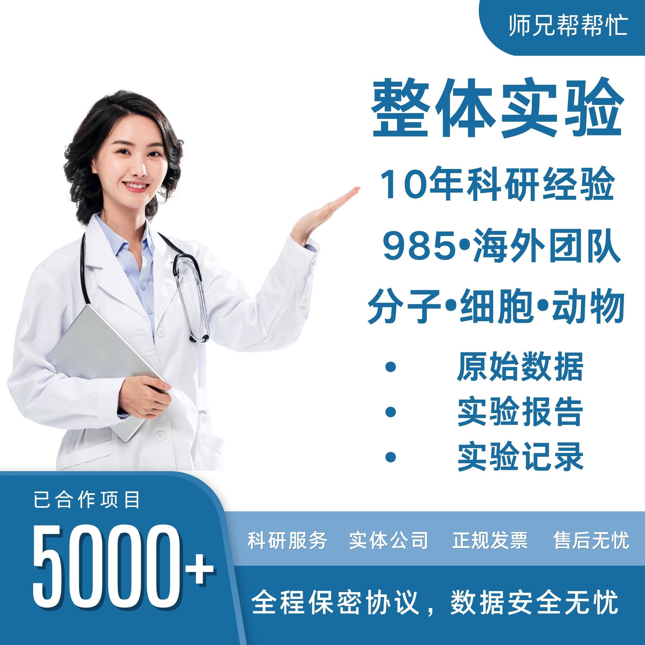 基础医学科研实验外包代做细胞动物疾病实验生信数据分析代做服务
