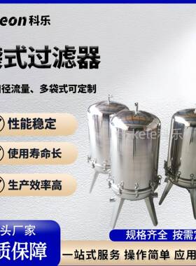 ke'le不锈钢食品级袋式液体过滤器设备制固液分离侧入顶入式过