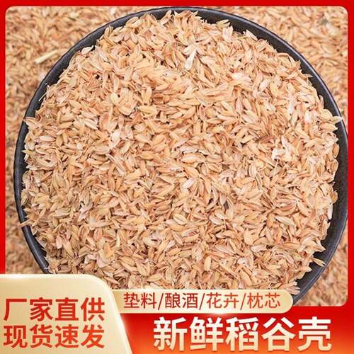 新鲜稻谷壳粗糠壳谷子壳稻糠壳动物宠物垫料保健枕防震填充酿酒
