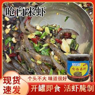 盐城醉虾 即食生呛小白虾生腌小青虾鲜活呛虾即食海鲜醉白米虾