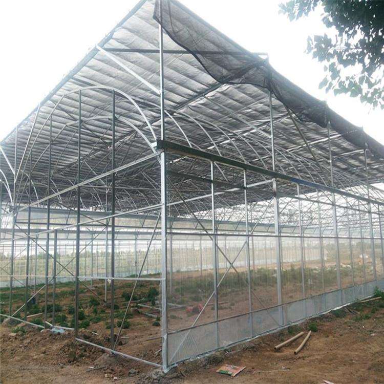 薄膜温室圆拱形大棚一体化工程设计葡萄种植采摘园林大棚