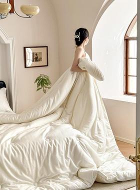 邮高档冬天保暖羊被加厚纯棉绒被芯单毛双人春羊LKJB—21秋包被子