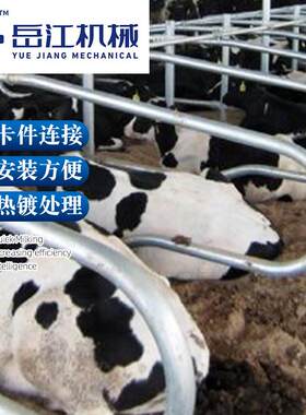 热镀锌管牛卧床卡件连接安装方便可供应牛卧床牧场养殖配套设备