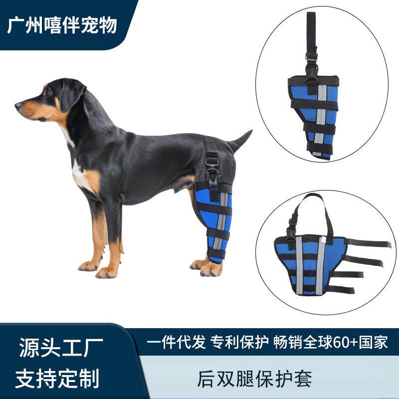 跨境狗狗用品宠物护肘受伤康复后腿关节护具狗狗术后固定支撑护膝