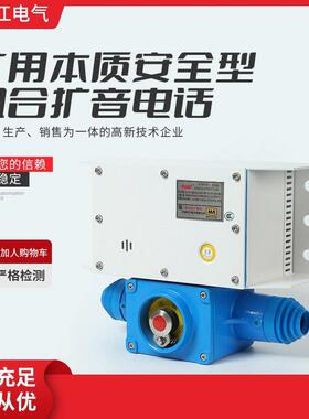 华宁电子矿用本质安全型组合扩音电话KTK101-2(HA) 金属扩音电话