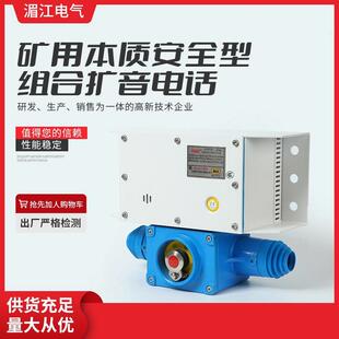 金属扩音电话 华宁电子矿用本质安全型组合扩音电话KTK101