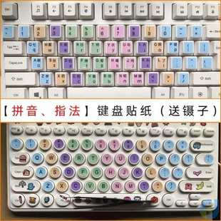 键盘贴纸笔记本字母按键贴初学者分区 大小写拼音谐音英文字母台式