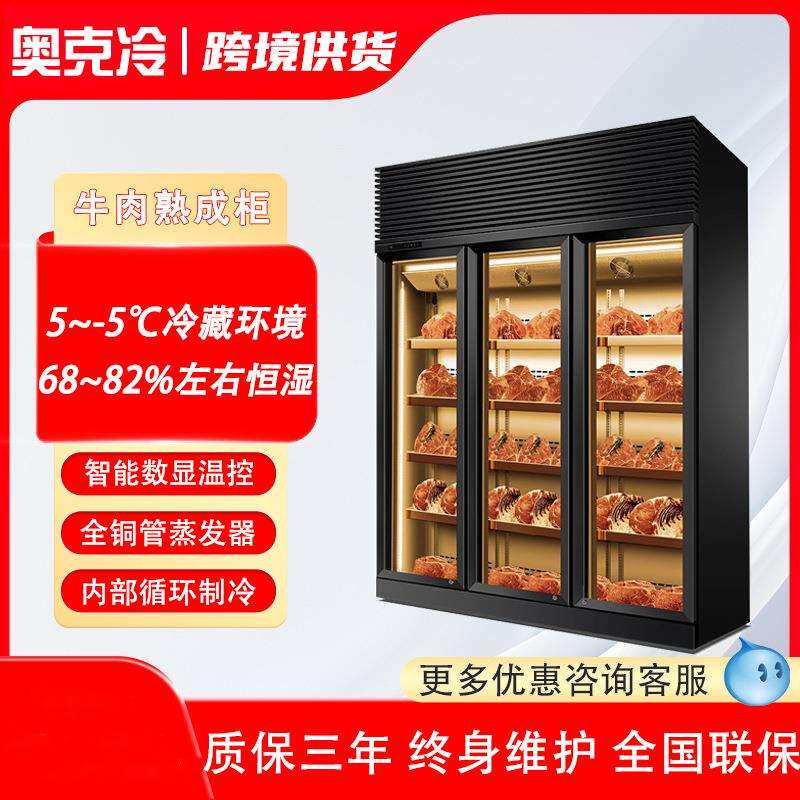 牛肉干式熟成柜和牛展示柜排酸柜牛排柜鲜切商用烤肉冷藏柜冷冻柜