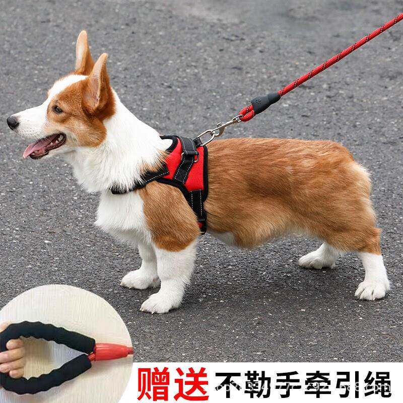 狗狗牵引绳宠物胸抱婴袋骨头胸背放爆冲狗炼子小中大型犬宠物用品