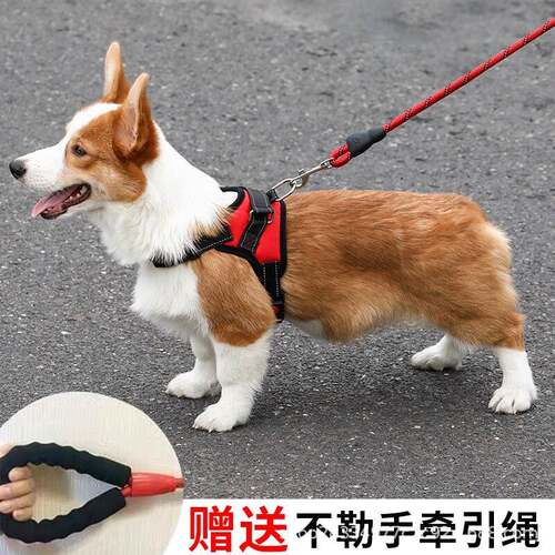 狗狗牵引绳宠物胸抱婴袋骨头胸背放爆冲狗炼子小中大型犬宠物用品