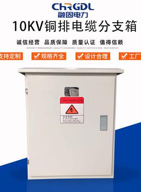 厂家现货供应成套设备户外高压白色10KV铜排高压分接箱电缆分支箱