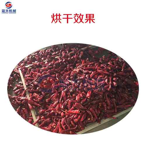 辣椒烘干机花椒 红辣椒空气能烘干机 热风循环大蒜鲜辣椒烘干设备