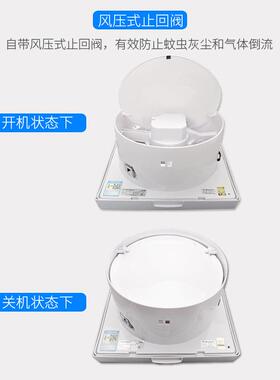 金羚8寸排气扇玻璃橱窗式浴室静音通风卫生间换气大风 APC20-4-30