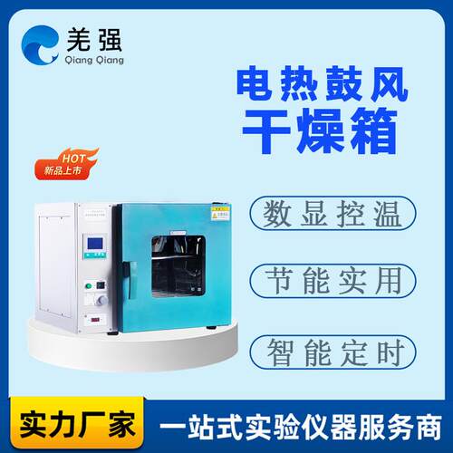 电热恒温鼓风干燥箱 DHG系列恒温试验设备实验室烘箱 鼓风干燥箱