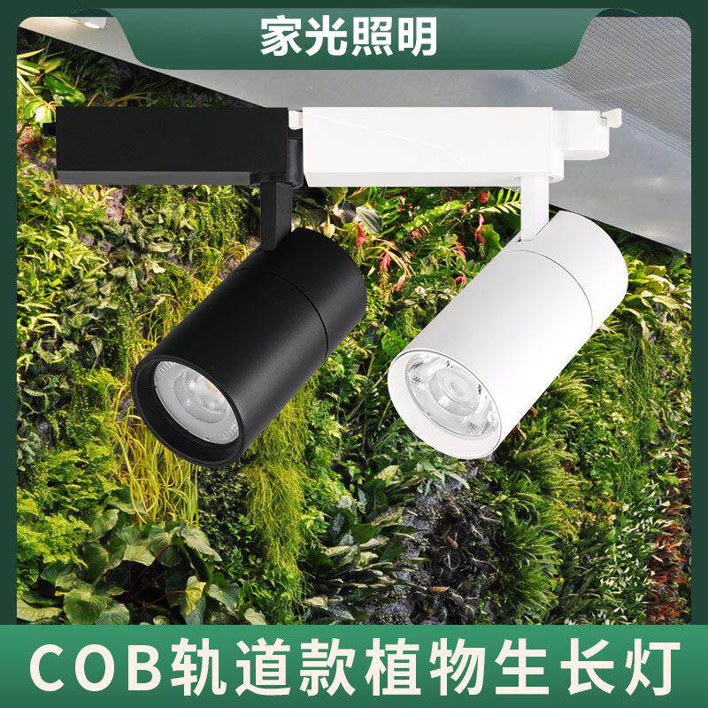 多肉室内植物导轨射灯全光谱园艺花店补光led植物墙生长轨道灯泡