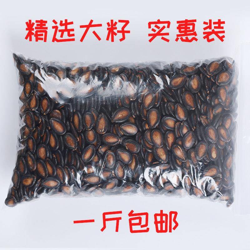 五香大颗粒瓜子西瓜子话梅味黑瓜子大颗粒年货西瓜籽五香味休闲零