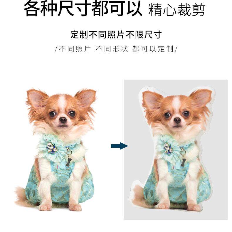 丑抱异枕猫来图定制人OTD物无白边定制印片定照做形宠物枕头