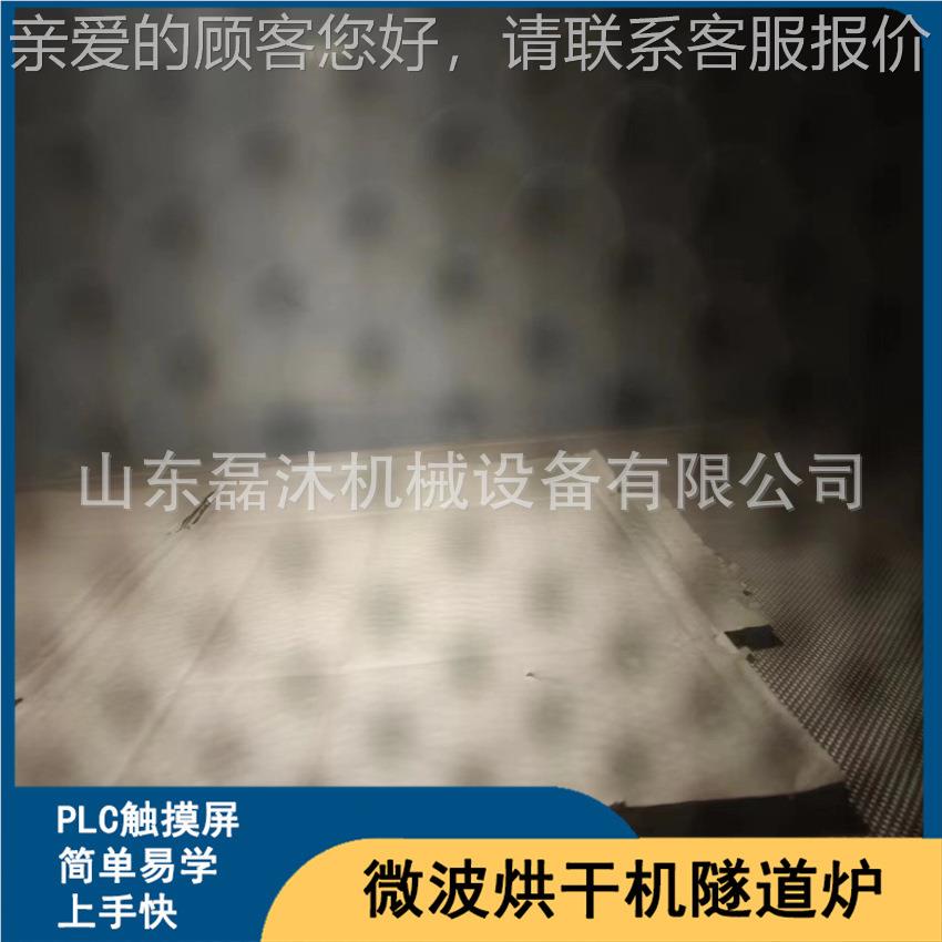 制品托微波烘LM-30KW-纸干机 流水线式纸托烘干杀虫卵干设备 纸燥