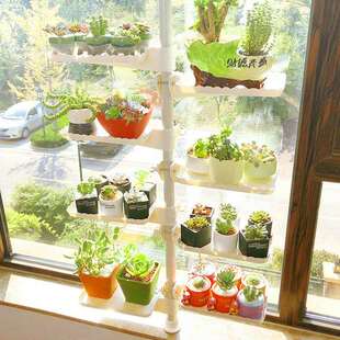 新款 窗台多肉花架室内家用飘窗多层省空间阳台顶天立地绿萝花