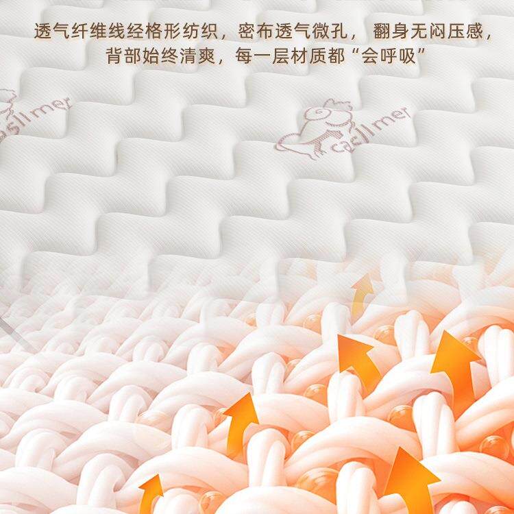 弹簧床垫子180x200家庭用卧室乳胶软租房专用硬椰棕20cm厚席梦思