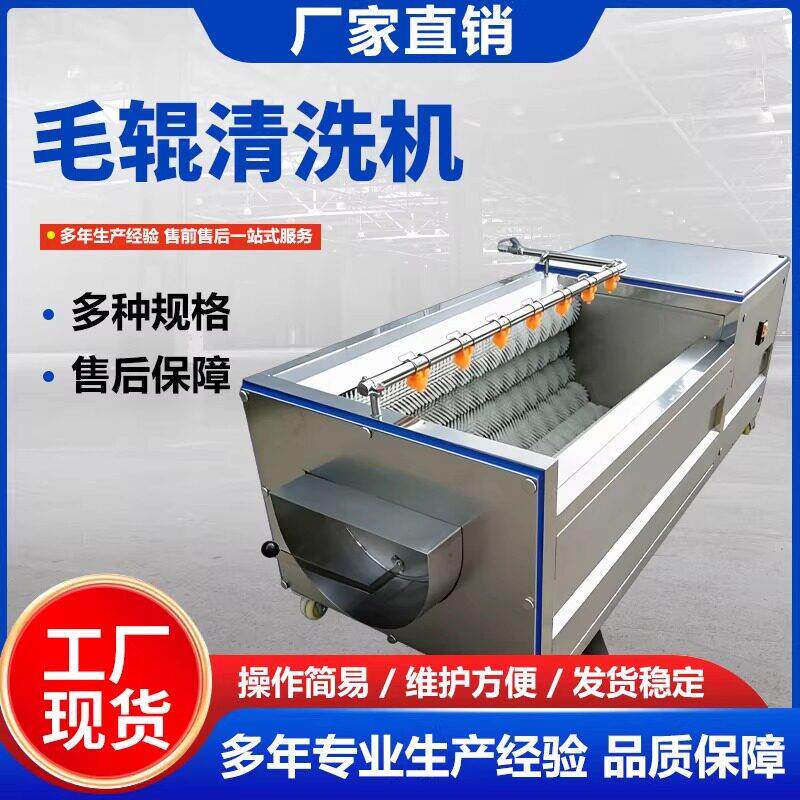 毛辊清洗机马蹄生蚝洗泥软毛商用毛辊清洗机多功能土豆红薯去皮机
