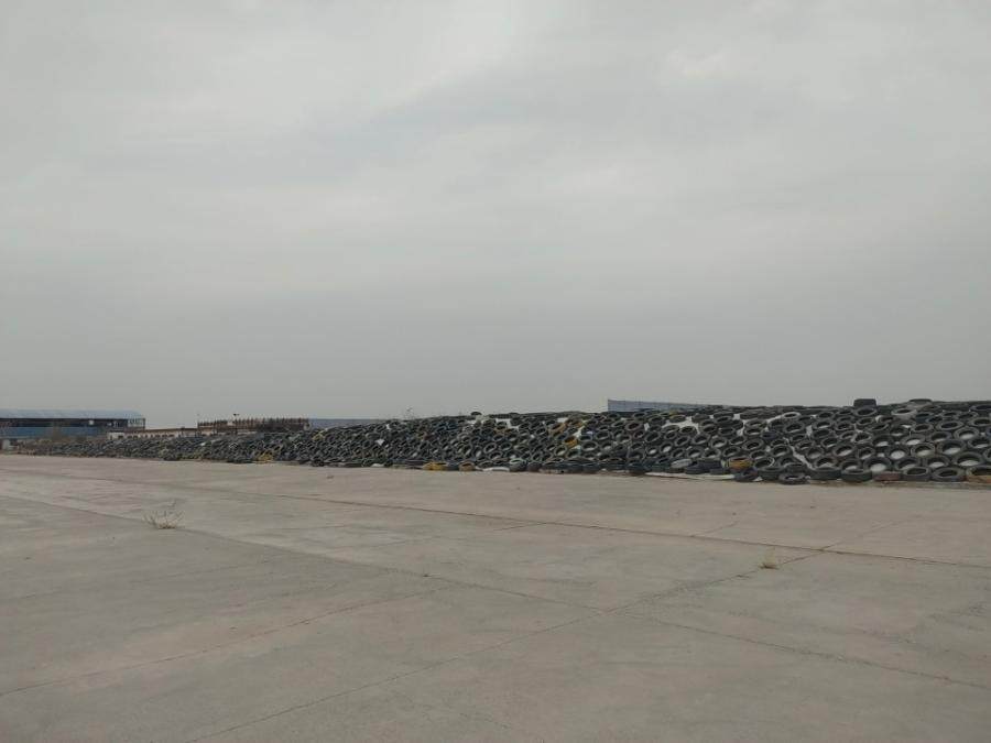 12月26日张掖牧业公司青贮玉米（2号窖）网络拍卖公告