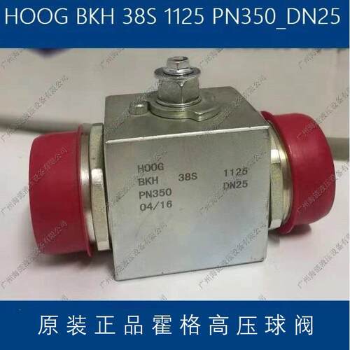 霍格球阀高压球阀HOOG BALL VALVES BKH 38S 1125 DN25