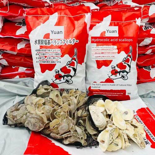 牡蛎壳滤料鱼池锦鲤池滤料牡蛎壳鱼池Ph值火牡蛎壳水质稳定