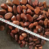 园林工程抛石子批发红色精雨花石红色厂造景铺设鹅卵石红色 精品