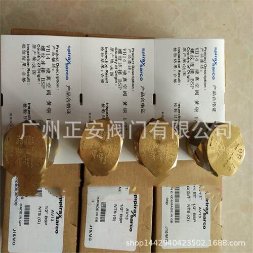 VB14破真空器英国spiraxsarco斯派莎克破真空阀VB14破真空阀门