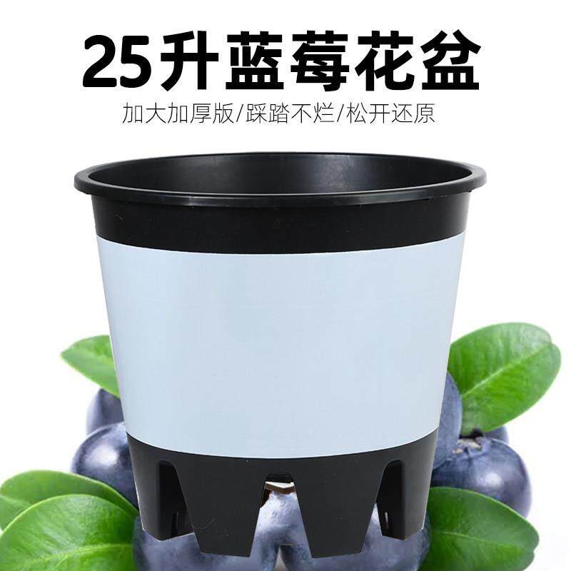 蓝莓专用盆种植盆蓝莓种植桶大号大花盆透气好用大口径控根盆