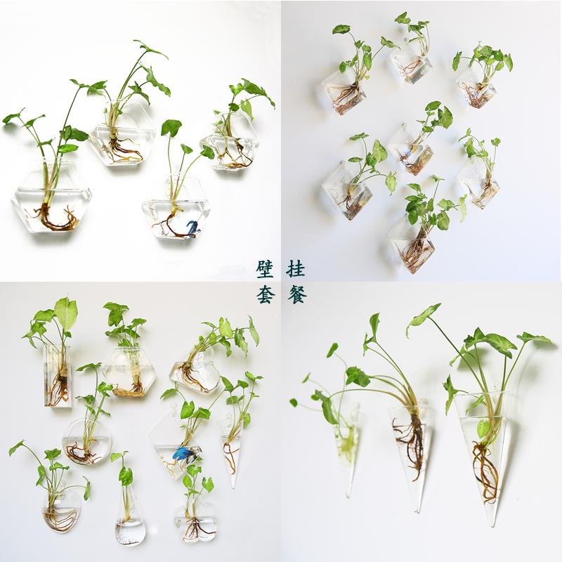 创意壁挂鱼缸壁饰墙饰挂壁水培玻璃花瓶卧室客厅店墙面墙上装饰品