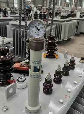 S13-M-030006KVA三110KV油浸式电力变压器1250KW100KW2000KVA25相
