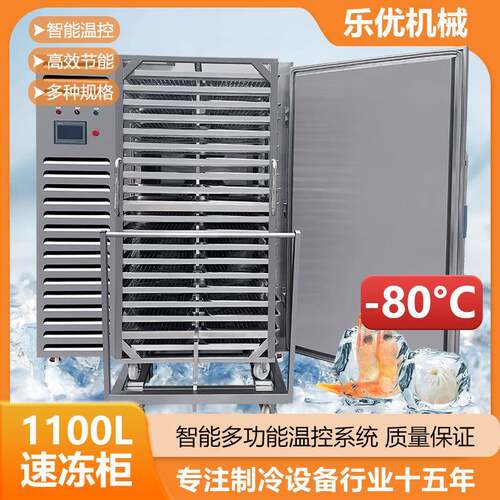 S金枪鱼带鱼大型果蔬面条速冻柜工厂直销低温冷冻设备机械压缩式