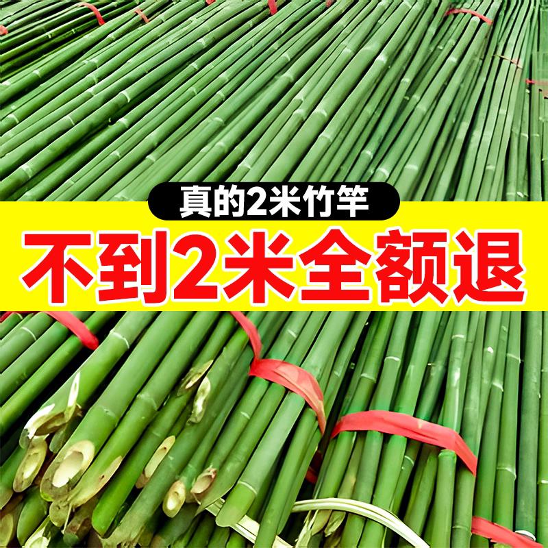 田园风格耐腐防裂竹杆2米长 适用菜园搭架爬藤架细竹竿