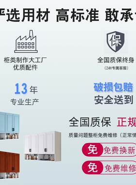 厨房壁柜墙柜吊柜挂墙式欧式阳台卫生间浴室收纳柜防水储物柜顶柜