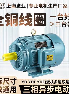 变极多速YDT/YD132S-8/42.2/3.3wYD160M-8/45/7.5w双速电机