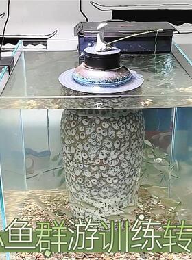 电动转盘底座展示台摆件人工饲养群游训练转盘架旋转圆盘展示台