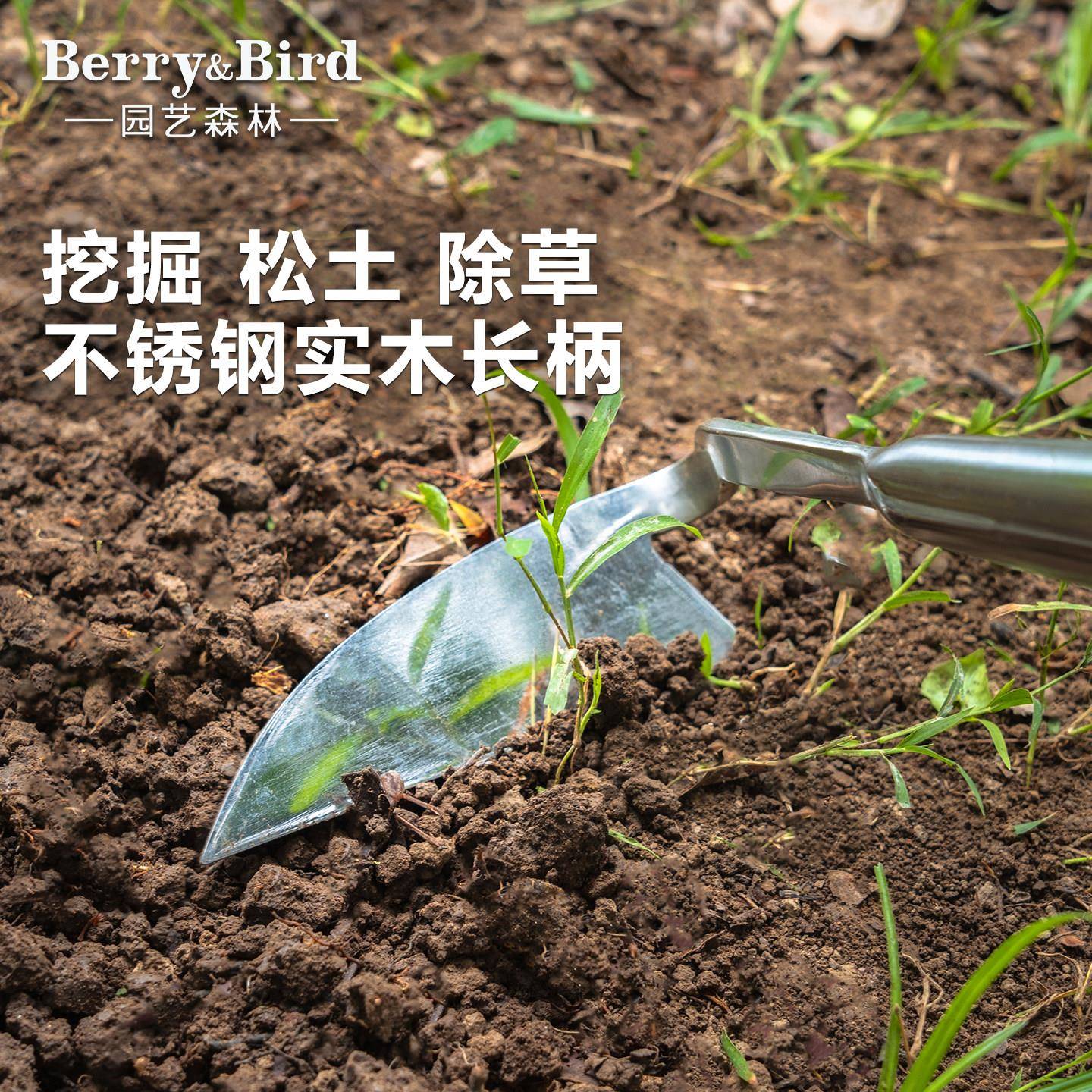 Berry&Bird园艺森林不锈钢锄头挖掘松土除草户外花园庭院种植工具