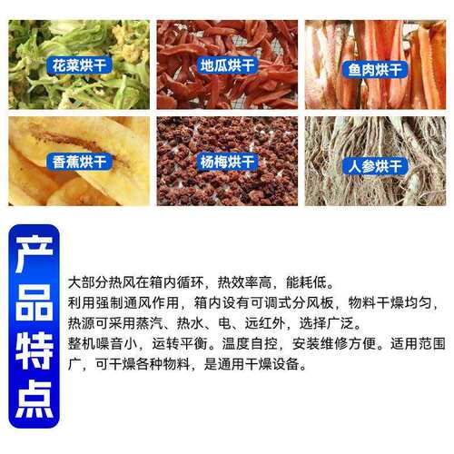 厂家供应实验室对开门热风循环烘箱电热低温真空不锈钢大型烘箱