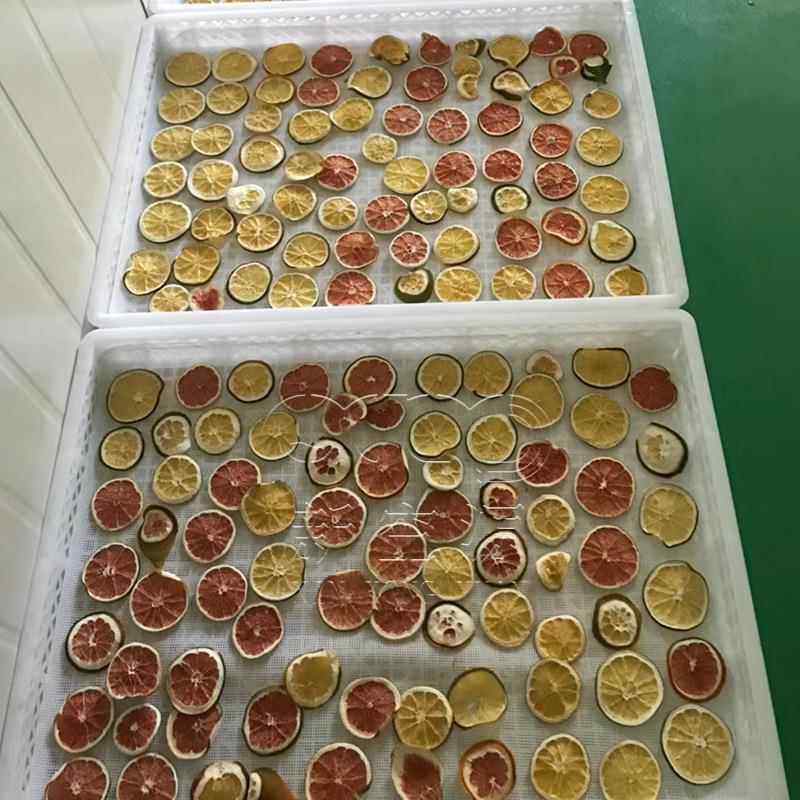 橙子片机香空橙脐橙片烘烘干设FMM备气能水果烘干干房商用全自动