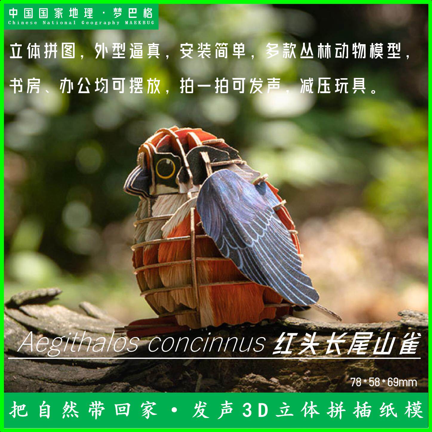 正品中国国家地理梦巴格3D立体拼图拼插动物模型小鸟真实发声