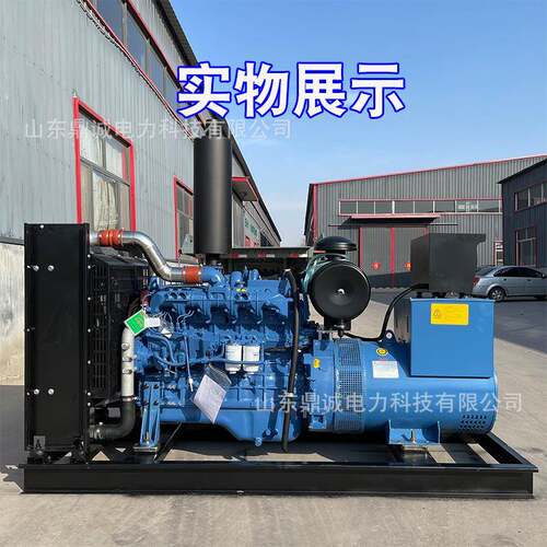 电机组120/150/200千瓦YC4A140L-D20YC4A180L-D20